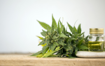 Sensoryseeds für schnelle und stabile Genetik